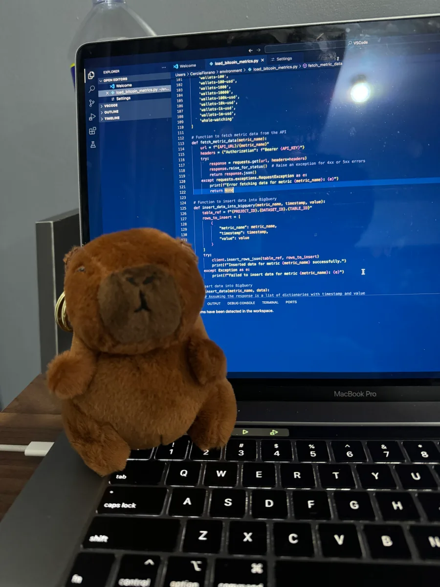 Laptop full of code with a capybara plush on the keyboard